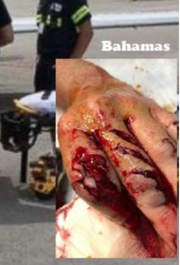 Screen Shot 2019-12-30 at 12.16.34 AM.png