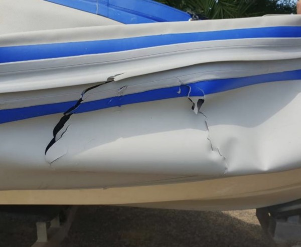 02-02-2019-shark attack.jpg