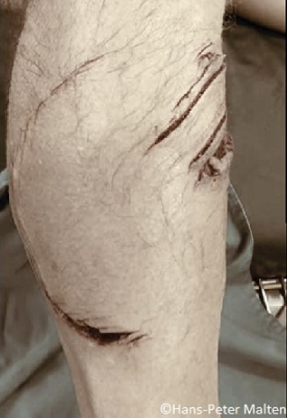 Screen Shot 2020-01-15 at 9.16.57 PM.png