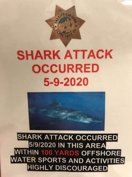 Fatal-shark-attack-santa-cruz-California.jpg